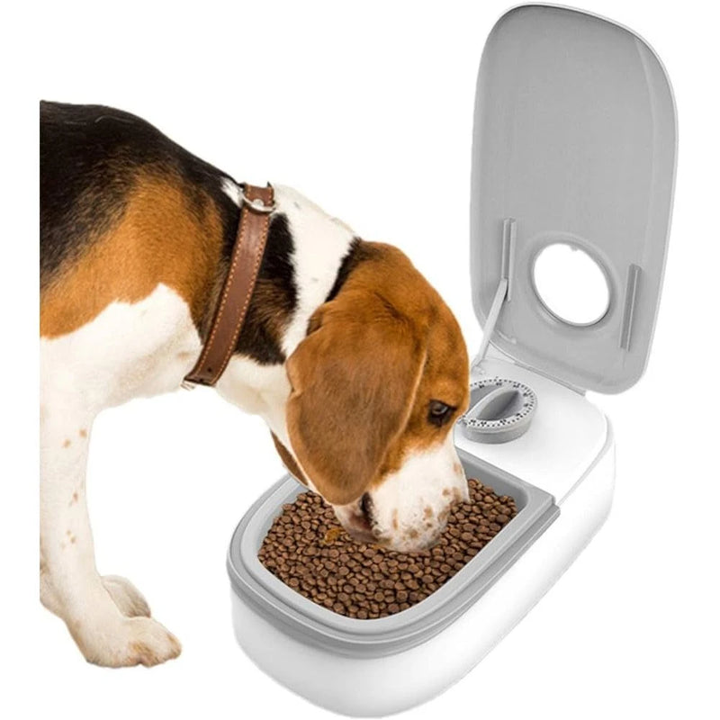 Alimentador Comedouro Duplo Temporizador Ração Agua 2 Em 1 Cachorro Gato Pet