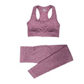 Conjunto Feminino Fitness Yoga - 2 peças - Compras Chaves