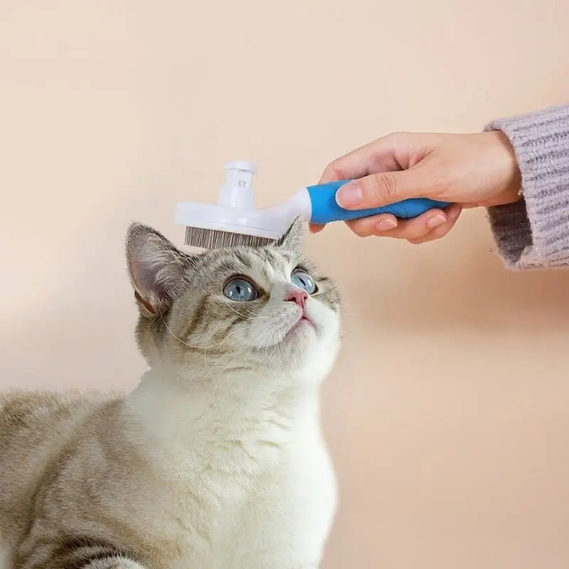 Natal Escova Removedora Tira Pelos Dos Pets Cães E Gatos Promoções - Compras Chaves